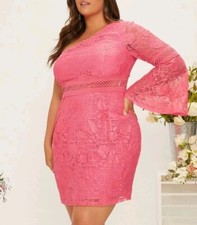 Womens Size 20 Pink Floral Lace Bodycon Dress Asymmetric Flounce Sleeve New 2XL