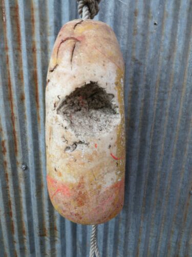 Authentic Medium Dungeness Crab Lobster Pot Buoy -(CB81) - Picture 2 of 3