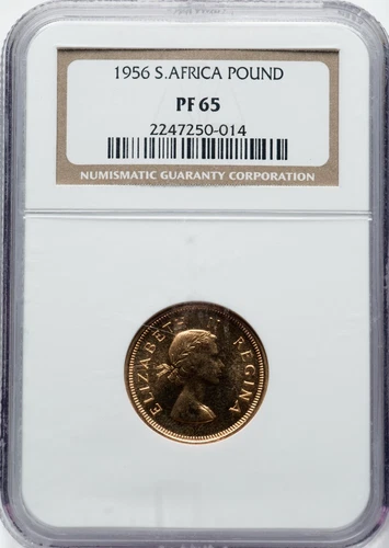 South Africa - 1956 1 Pond - NGC PF65 - EXTREMELY RARE - 508 STRUCK