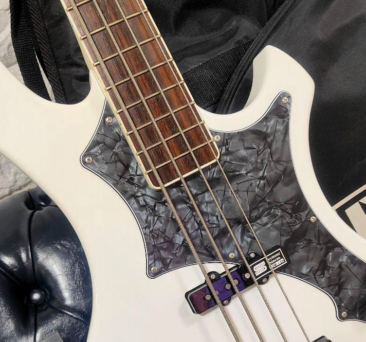 EDWARDS E-RF-137SL the GazettE REITA Model Electric Bass Guitar | eBay