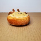 Foto 12 di 13