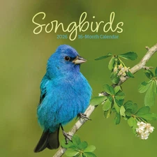 Carousel Calendars,  Songbirds Special Value 2026 Mini Wall Calendar, 7'' X 7'',