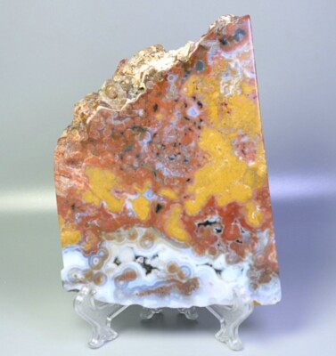 Best Natural Polished Ocean Jasper Agate Crystal Slice Reiki Stone Healing Stand