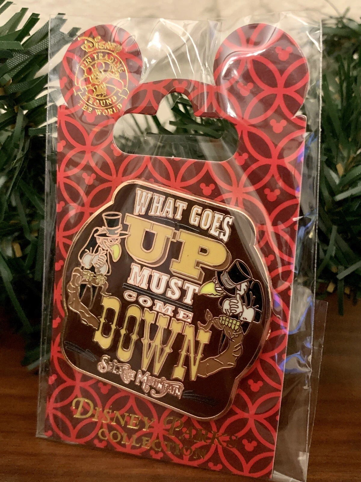 Disney Splash Mountain What Goes Up Must Come Down Trading Pin