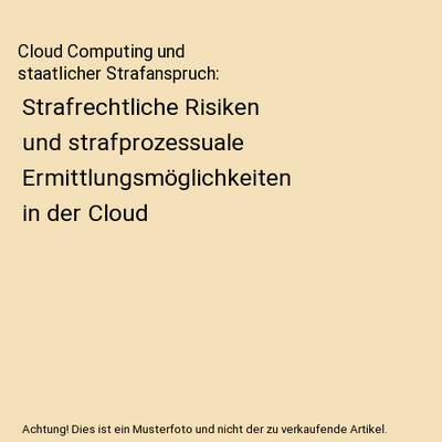 Cloud Computing und staatlicher Strafanspruch: Strafrechtliche Risiken und straf