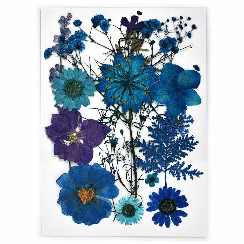 1 Pack Dried Flower, Pressed Resin Filling, DIY Crystal Epoxy Resin Mo