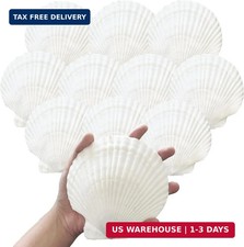 10PCS 4-5 Inch Large Sea Shells White Scallop Shells for DIY Painting Baking Coo
