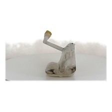Waschwasserbehälter - Renault MEGANE III PH.1 - 289104118R - R1-3339C