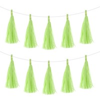 30Stk Glas GrüNe Quaste Girlande Banner Mit Seil Tissue Papier Quasten