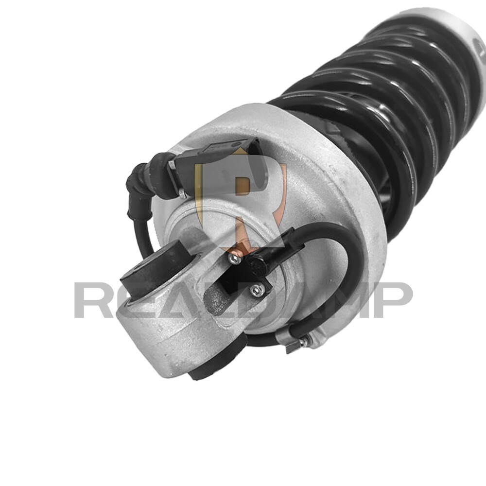 Rear Left Suspension Shock Strut Assy Magnetic Ride For Audi R8 V8 V10 GAS 07-15