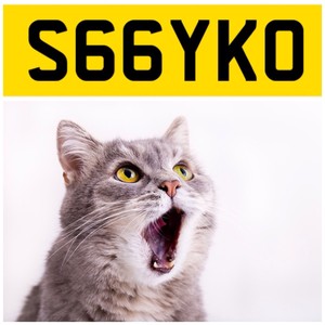 cat n dvla