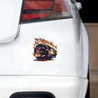 Picture 3 of 6