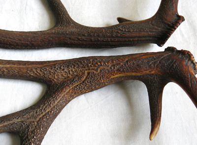 Bois De Cerf Paire Bois De Cerf Chasse Couteau Lustre 62 Et 66 Cm Black Forest Ebay Bois De Cerf Paire Bois De Cerf Chasse Couteau Lustre 62 Et 66 Cm Black Forest Ebay