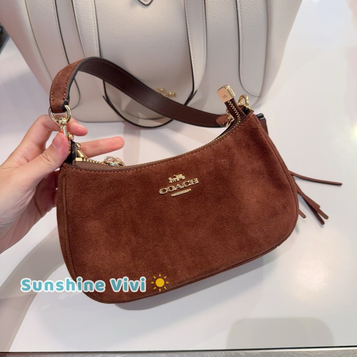 NWT Coach Teri Mini Crossbody Bag CCE42 Suede Vintage Brown | eBay