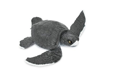 Grey Sea Turtle, Realistic Toy Figure Model Replica Educational, 6