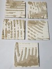 Foto 5 di 8
