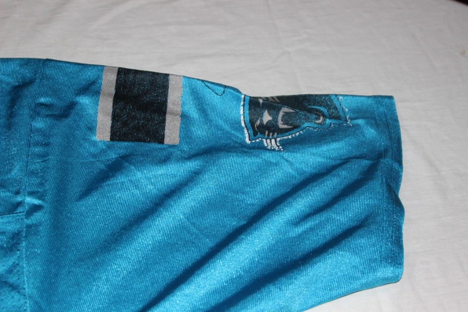NFL Vintage Carolina Panthers Reebok Talla L No. Everette 91 marrón Foto 3 de 4