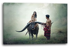 Wandbild Liebes-Paar asiatisch, im Regenwald umgeben von Nebel, Frau auf Büffel
