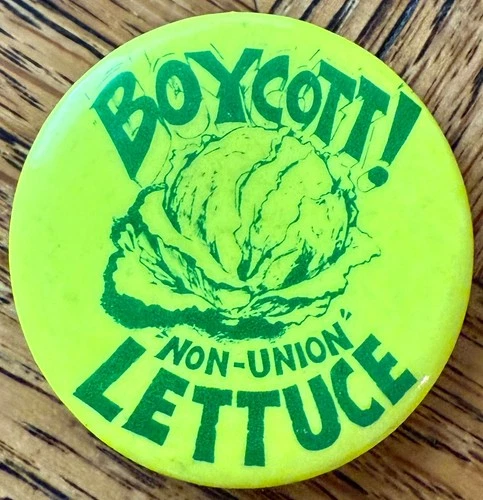 United Farm Workers Boycott Non Union Lettuce  Chavez Pin Button Green