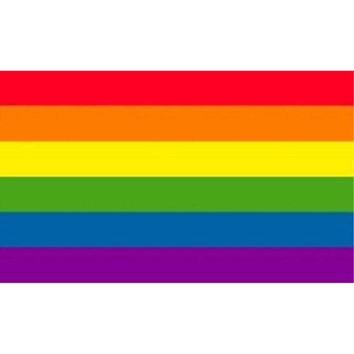 Rainbow Stripes Nylon 3 x 5 Foot Flag Indoor Outdoor Gay Pride LGBT Festival New - Picture 3 of 3