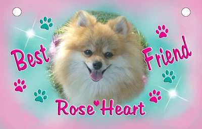 SIZZLEME GRAPHICS Bicycle License Plate From Your Pet Photos 2.75" x 4.5" Metal Personalize