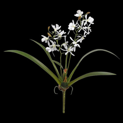 Artificial Mini Cattleya Orchid stem WHITE
