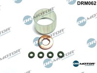 Dr.Motor Automotive DRM062 Dichtungssatz FüR EinspritzdüSe