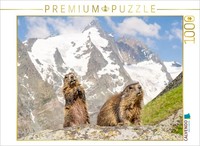 Calvendo Puzzle Murmeltiere Am GroßGlockner | 1000 Teile Lege-GrößE 64 × 48 Cm F