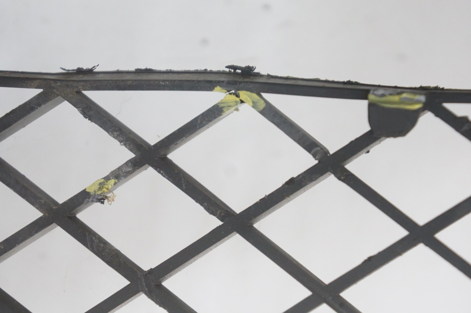 Front Right Grille OEM 4W0807648M Bentley Continental Flying Spur 2015 *Note*