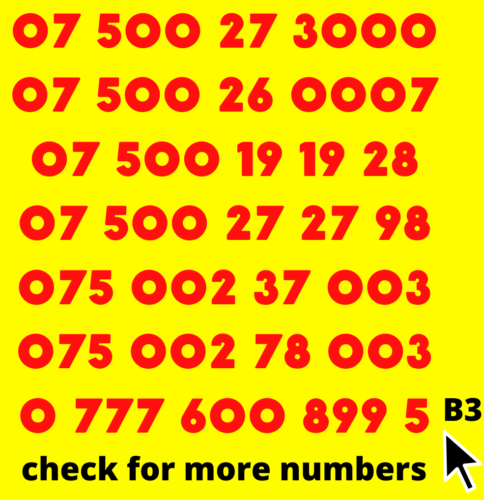 New GOLD VIP Vodafone BUSINESS EASY MOBILE PHONE NUMBER Nice PAY&GO SIM CARD UK - Picture 1 of 2