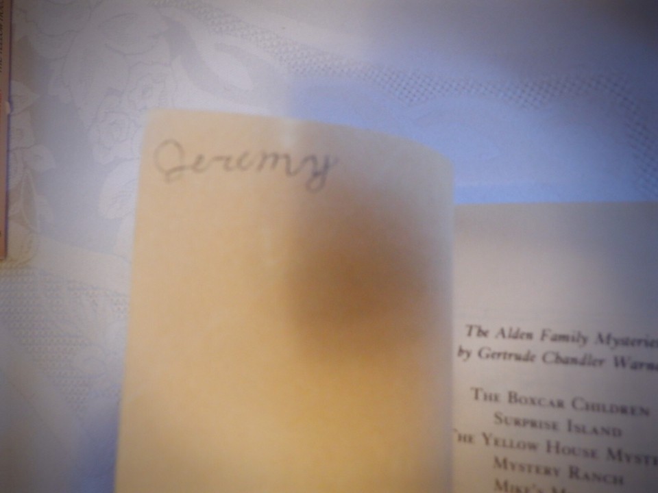 The Boxcar Children 10 Schoolhouse Mystery Gertrude Chandler Warner