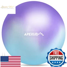 APEXUP 55cm Stability Exercise Ball (19-22in) Heavy Duty Yoga Blue/Purple