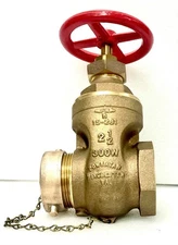 2-1/2" F NPT x M NST 300 PSI Gate Valve with Brass Cap UL/FM Powhatan 19-281 USA