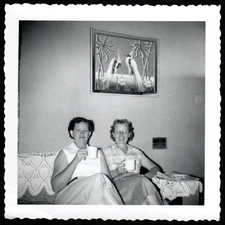 1950s Coffee Couch Ladies w EGRETS MCM Artwork by M. Devoe: Vintage SNAPSHOT