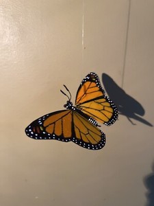 Handmade Hand-painted 5.5" Hanging Monarch Milkweed Butterfly Figurine Replica