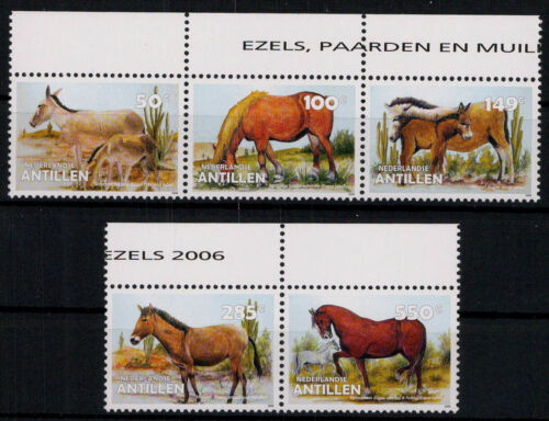 Niederländische Antillen; Pferde und Esel 2006 kpl. **  (16,-) - Bild 1 von 1