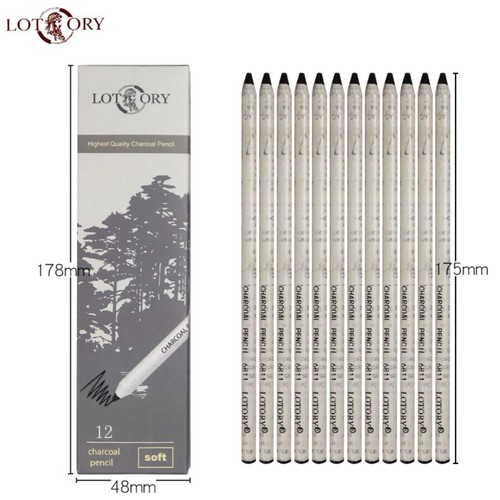 12Pcs Set Lotory Charcoal Pencil Black bold carbon core Peel and Sketch Charcoal - Picture 2 of 10