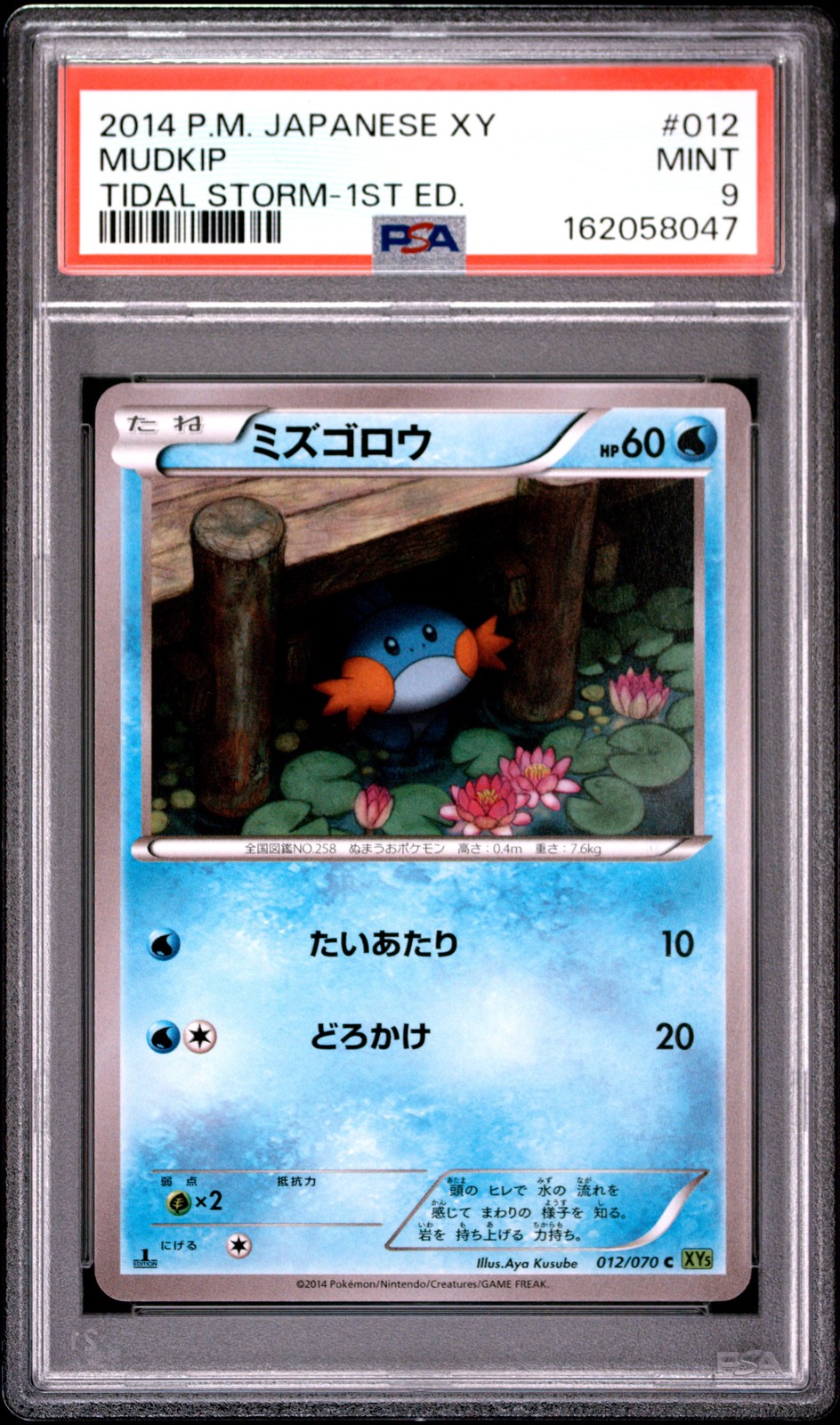 2014 POKEMON JAPANESE XY TIDAL STORM 1ST EDITION #012 MUDKIP PSA 9