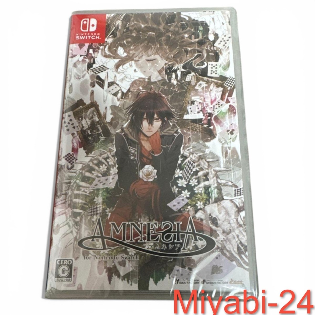 Rare AMNESIA Limited Edition Switch Game Otomate | eBay