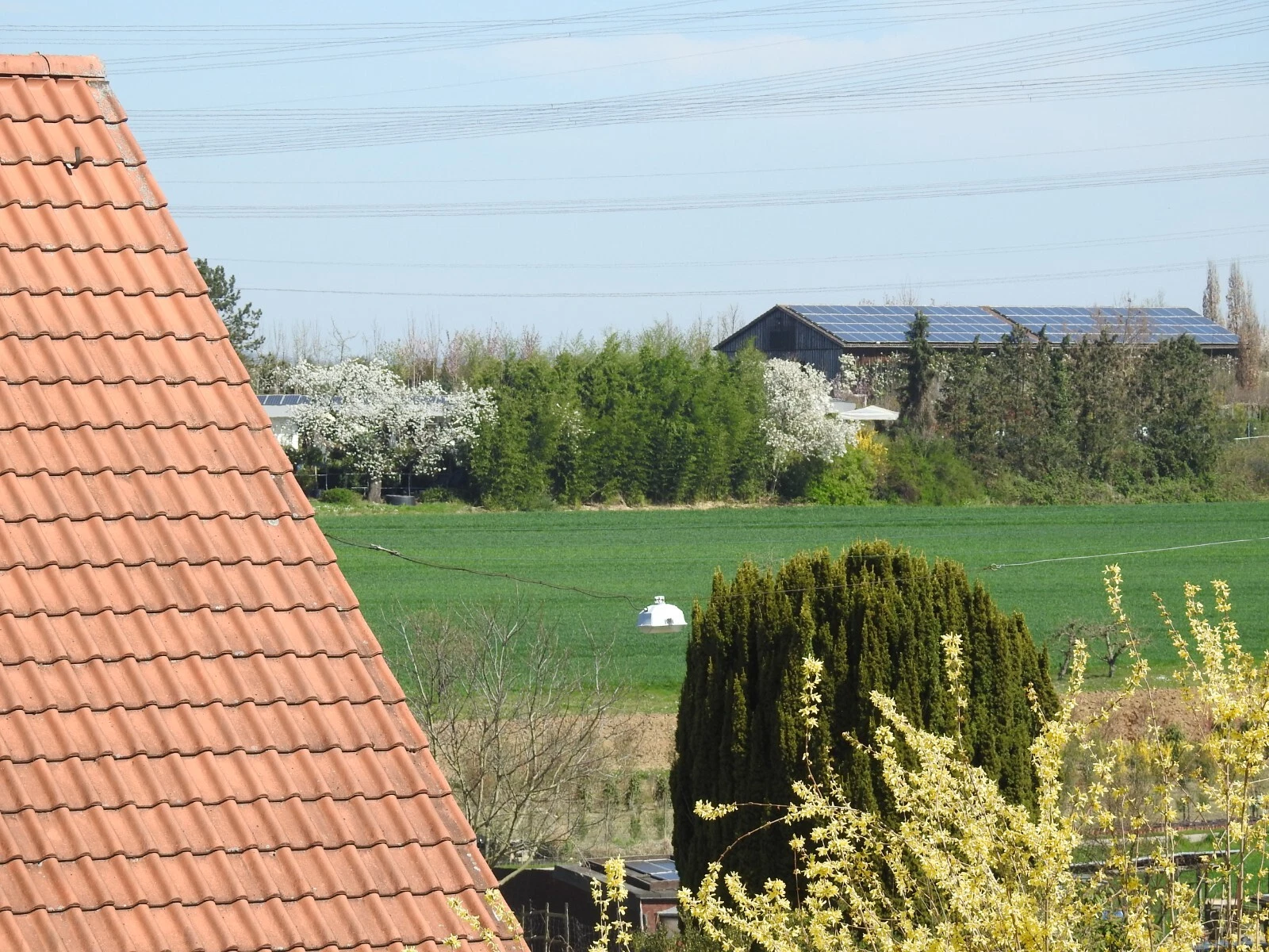 Bild 23 von 24