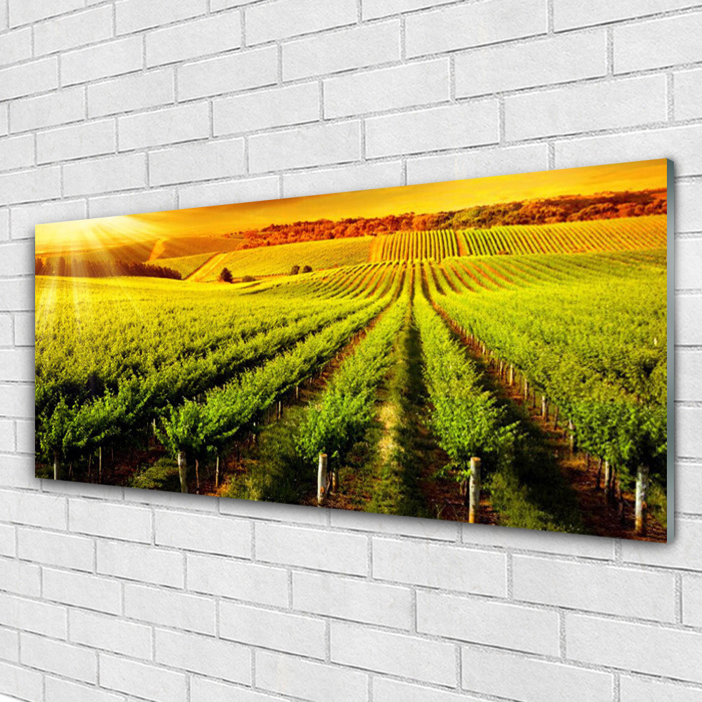 Image sur verre acrylique nature champ 125x50 pour salon lumineux