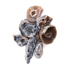 1/2 lb Small Agate Oco Geode Natural Rough Half Gemstone Mineral Sparkly Jewelry