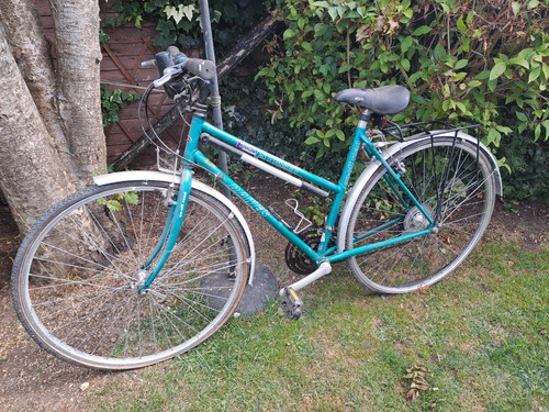 A pair of vintage Dawes Easy Street bicycles, one cross bar, one step through - Picture 5 of 5