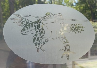 SWIMMING FROG Decal 4''x6'' OVAL Etched Glass Look Cling Removable & Reusable 44