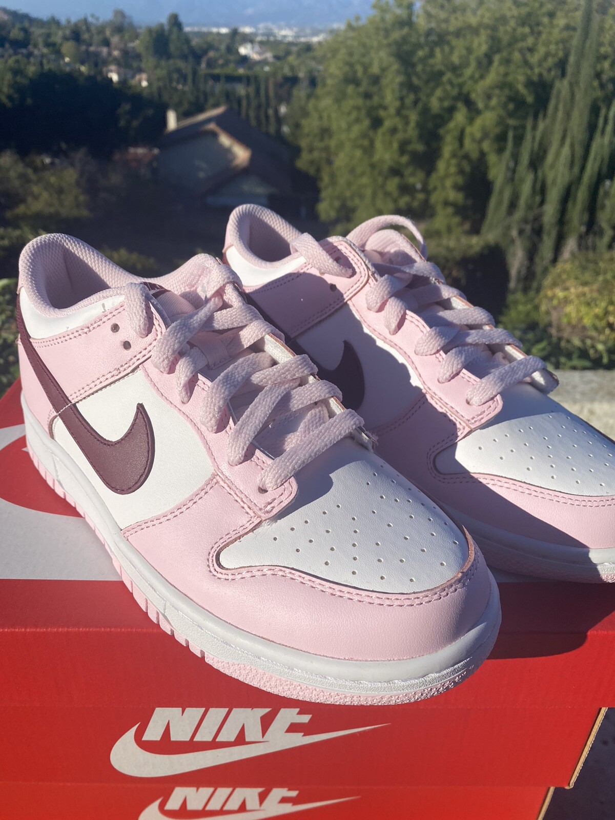 2021 dunk low gs pink foam