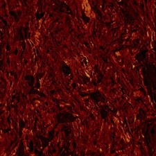 Pickguard Blank Material Tortoise Small 11 x 9 3/8 inch 3 ply 130130TO