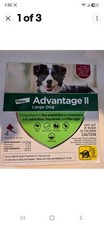 Advantage 11 For Large Dogs 21 To 55 Lbs. 4 Pack Free Shipping.