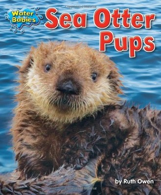 #ad #ad Sea Otter Pups Water Babies GOOD $5.09