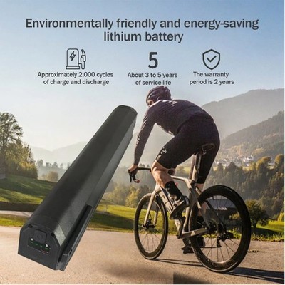 48v 13Ah 14Ah L460 Li-ion Batteries Reention Dorado Plus Battery for 350-1000W