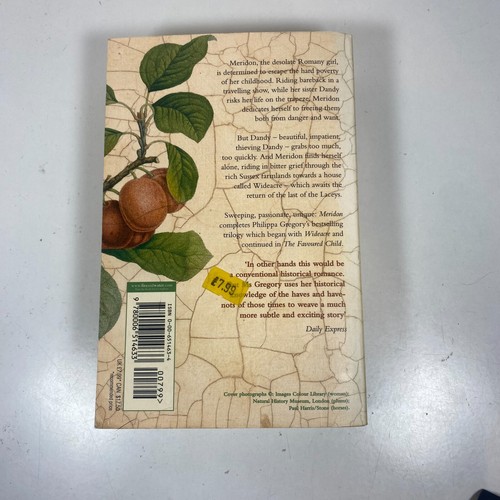 Philippa Gregory Bücher - Bauen Sie Ihr eigenes Taschenbuch Konvolut Lot - Kaufen Sie 3 erhalten Sie 1 kostenlos - Bild 3 von 44